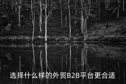 选择什么样的外贸B2B平台更合适