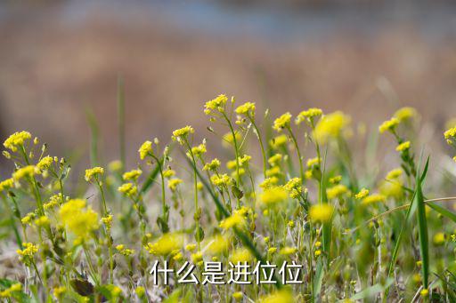 进位输入是什么意思,进位制什么是进位加法?