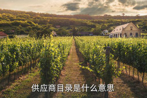 供应商mdm编号是什么,中国移动mdm是干什么?