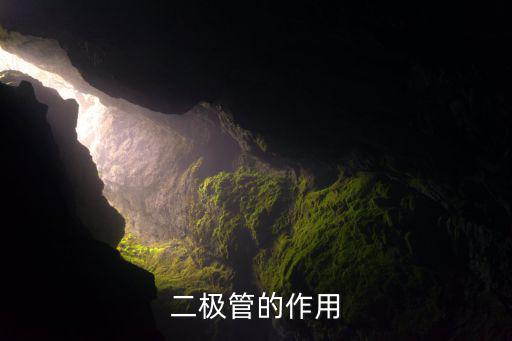 二极管参数什么作用是什么,电子元件之一二极管的作用有很多