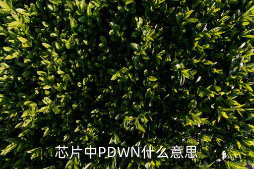 芯片中ipn什么意思,芯片的die是什么?