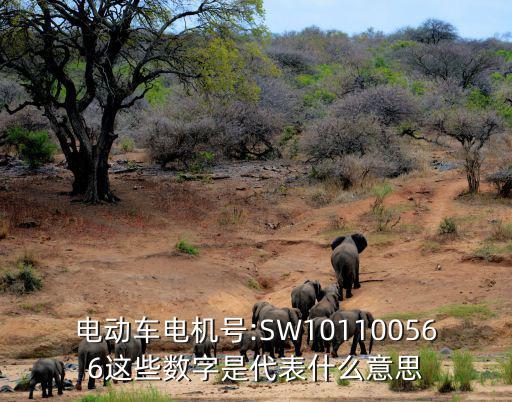 sw65是什么意思,电动车电机号代表什么?