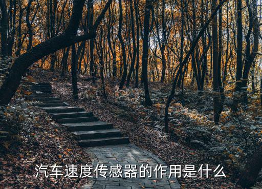 汽车速度传感器的作用是什么