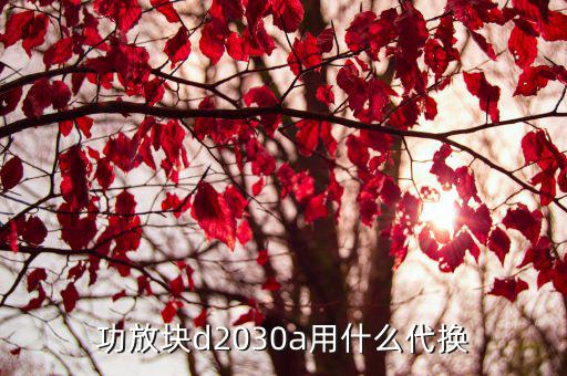 tda 2030a用什么变压器,烧毁电阻器用什么牌子的?