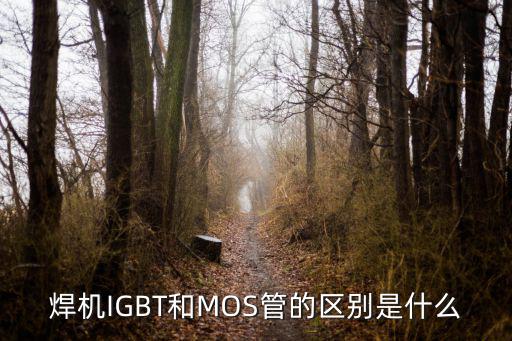 焊机IGBT什么意思,熔机用igbt和mos管的区别