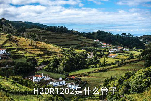 3122 是什么管子,绝缘栅双极型晶体管什么是什么管子?