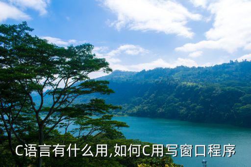 82c251y用什么设备写程序,怎么用c#写程序?