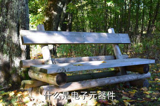 什么是电子元器件