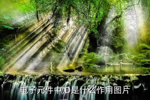 贴片w12D是什么,电子元件中的d是什么?