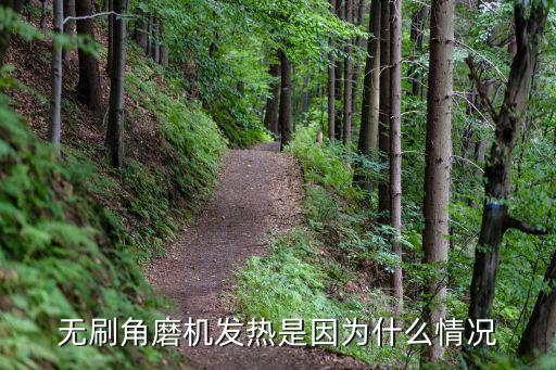 无刷角磨机发热是因为什么情况