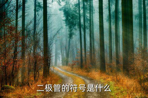 晶体二极管符号是什么,本地哪些电子器件有可能含有二极管?