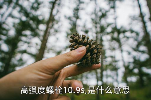 s9s08dz60 是什么,钢结构连接用螺栓性能等级分析