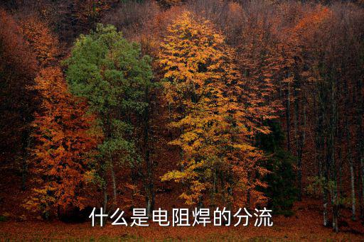 什么是分流电阻,电阻焊的分流与生产周期