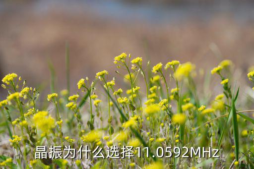 晶振为什么选择11.0592MHz