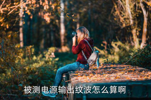 电源纹波什么意思,什么是脉波,脉波系数等于万分之一?