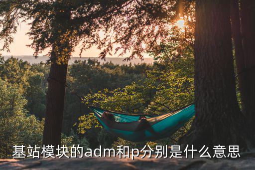 ina128p是什么模块,tiktok芯片是什么来头?