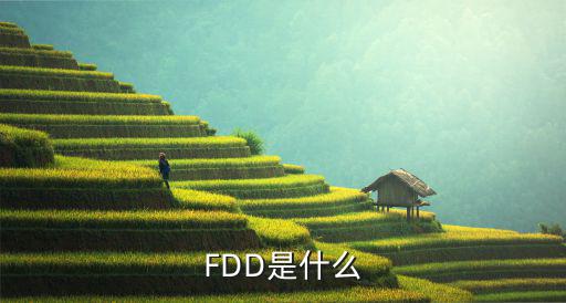 FDD是什么