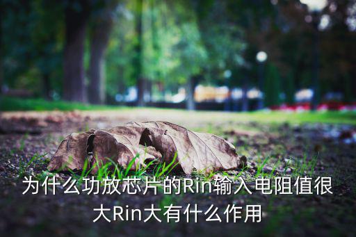为什么功放芯片的Rin输入电阻值很大Rin大有什么作用