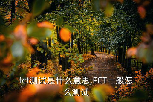 fct测试是什么意思,FCT一般怎么测试