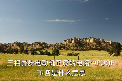 三相异步电动机正反转电路中FUQFFR各是什么意思