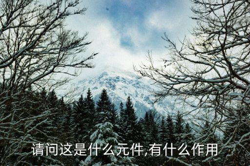 请问这是什么元件,有什么作用