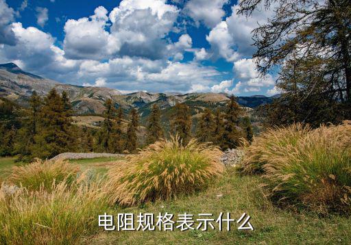 电阻R39是什么系列,电阻分类及规格