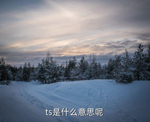 ts是什么意思呢