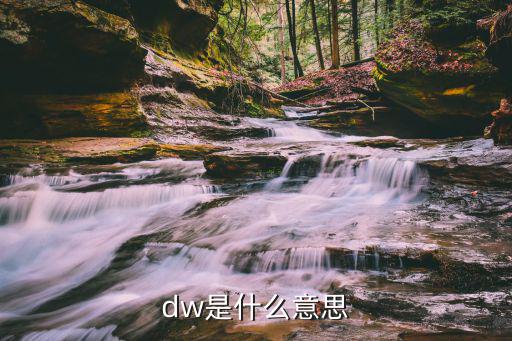 dw是什么意思