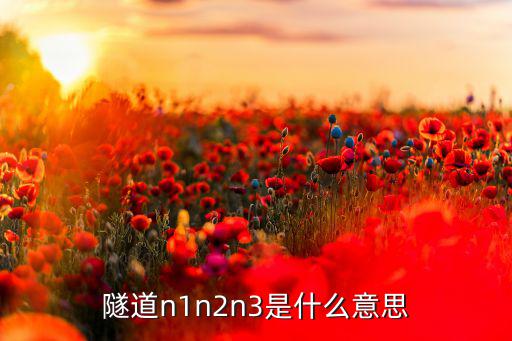 隧道n1n2n3是什么意思