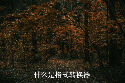 转换器是什么,otg转换器有何用处?