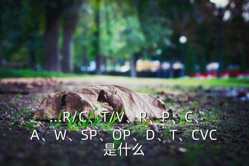 ...R/C、T/V、R、P、C、A、W、SP、OP、D、T、CVC是什么