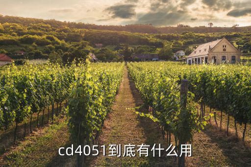 cd4051到底有什么用