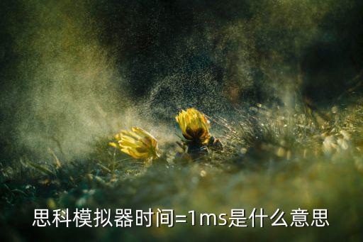 思科模拟器时间=1ms是什么意思