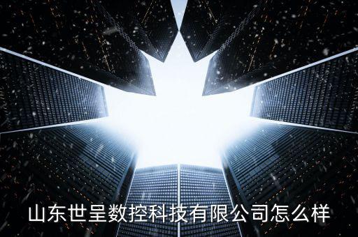 山东世呈数控科技有限公司怎么样