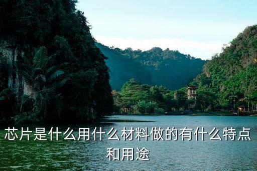 芯片是什么用什么材料做的有什么特点和用途