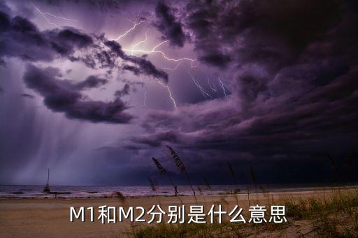 M1和M2分别是什么意思