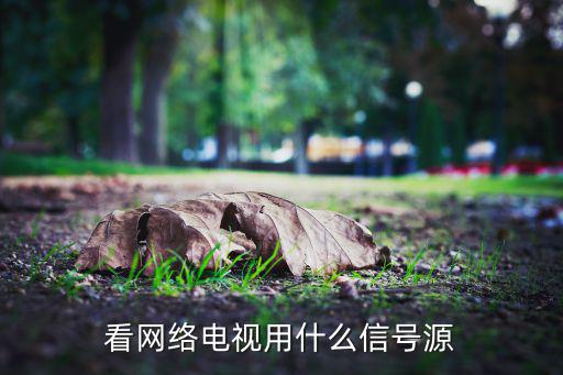 看网络电视用什么信号源