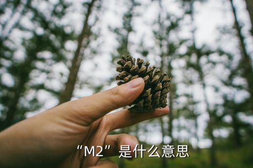 m2e5变成什么了,奥克斯空调故障代码是什么意思?