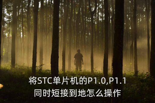 将STC单片机的P1.0,P1.1同时短接到地怎么操作