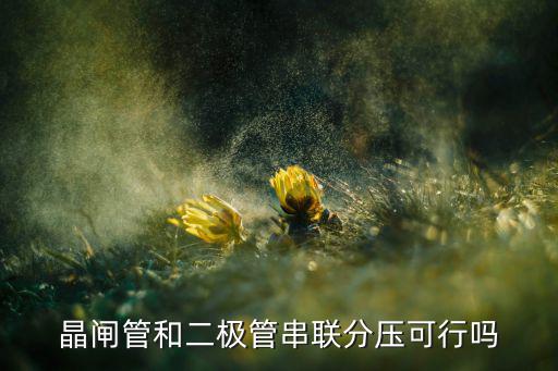 晶闸管和二极管串联分压可行吗
