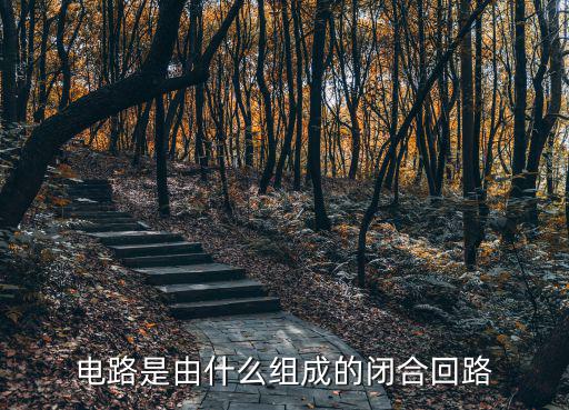 回路由什么组成,电路是由什么组成的?