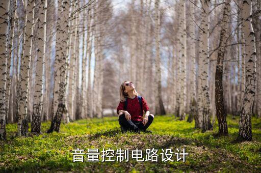 响度控制器是什么意思,电动车控制器是什么意思啊!