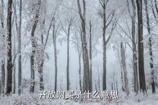 开放购买是什么意思