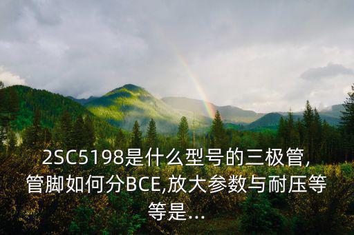 2SC5198是什么型号的三极管,管脚如何分BCE,放大参数与耐压等等是...