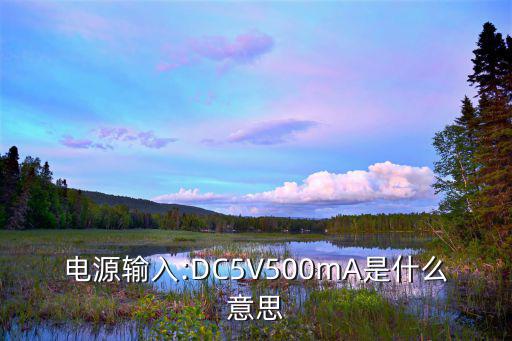 电源输入:DC5V500mA是什么意思