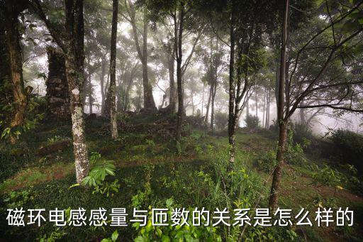 磁环al表示什么,cch模式下的电感磁摆幅是什么意思?