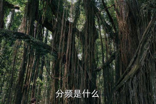 什么叫同步时钟分频,时钟系统如何进行逻辑分析