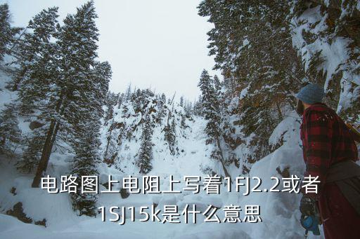 电路图上电阻上写着1FJ2.2或者1SJ15k是什么意思