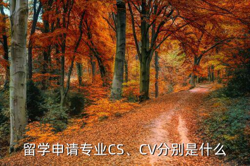 bt05cv是什么,动漫名词tav是什么意思?