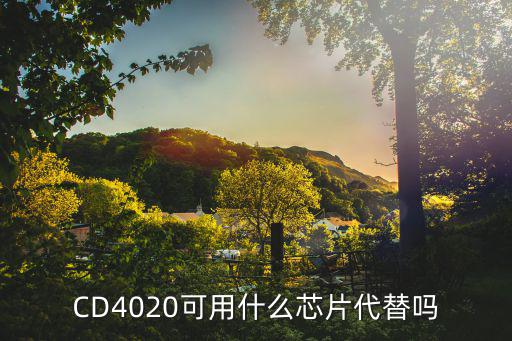 CD4020可用什么芯片代替吗